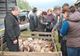 Veste bună pentru fermieri! Se redeschid toate târgurile de animale 