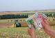 AFIR a lansat 3 măsuri prin care se pot accesa fonduri europene