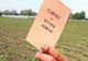 APIA a efectuat plata rentei viagere agricole