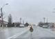 VIDEO Un struţ a ieşit la plimbare, pe străzile din Slobozia