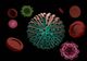 Bilanț coronavirus 17 ianuarie: 8.118 cazuri noi și 17 decese