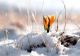 Vremea 15 februarie - Temperaturi ridicate pentru luna februarie