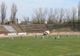 Prima victorie pentru Dacia Unirea Brăila în Liga a 2-a. Victimă a fost colega de suferință, Dunărea Călărași