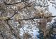 Vești proaste! Prognoza meteo pentru 4-5 aprilie: Vremea va fi deosebit de rece