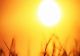 Cupola de foc se apropie de România - caniculă insuportabilă: temperaturi de 42 de grade la umbră