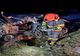 Accident mortal pe DN21. Un mort și doi răniți
