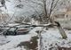 FOTO Copac căzut peste o mașină în Călărași