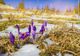 Prognoza meteo 19 februarie. Temperaturi în scădere, în toată țara
