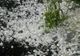 Alertă meteo. Cod galben de fenomene extreme: vijelii puternice și grindină 