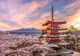 ACORD SUA - JAPONIA PENTRU PĂMÂNTURI RARE